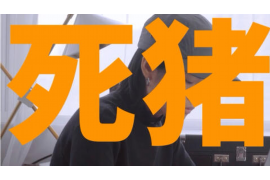 龙潭催收公司哪里找？专业债务回收服务助您无忧